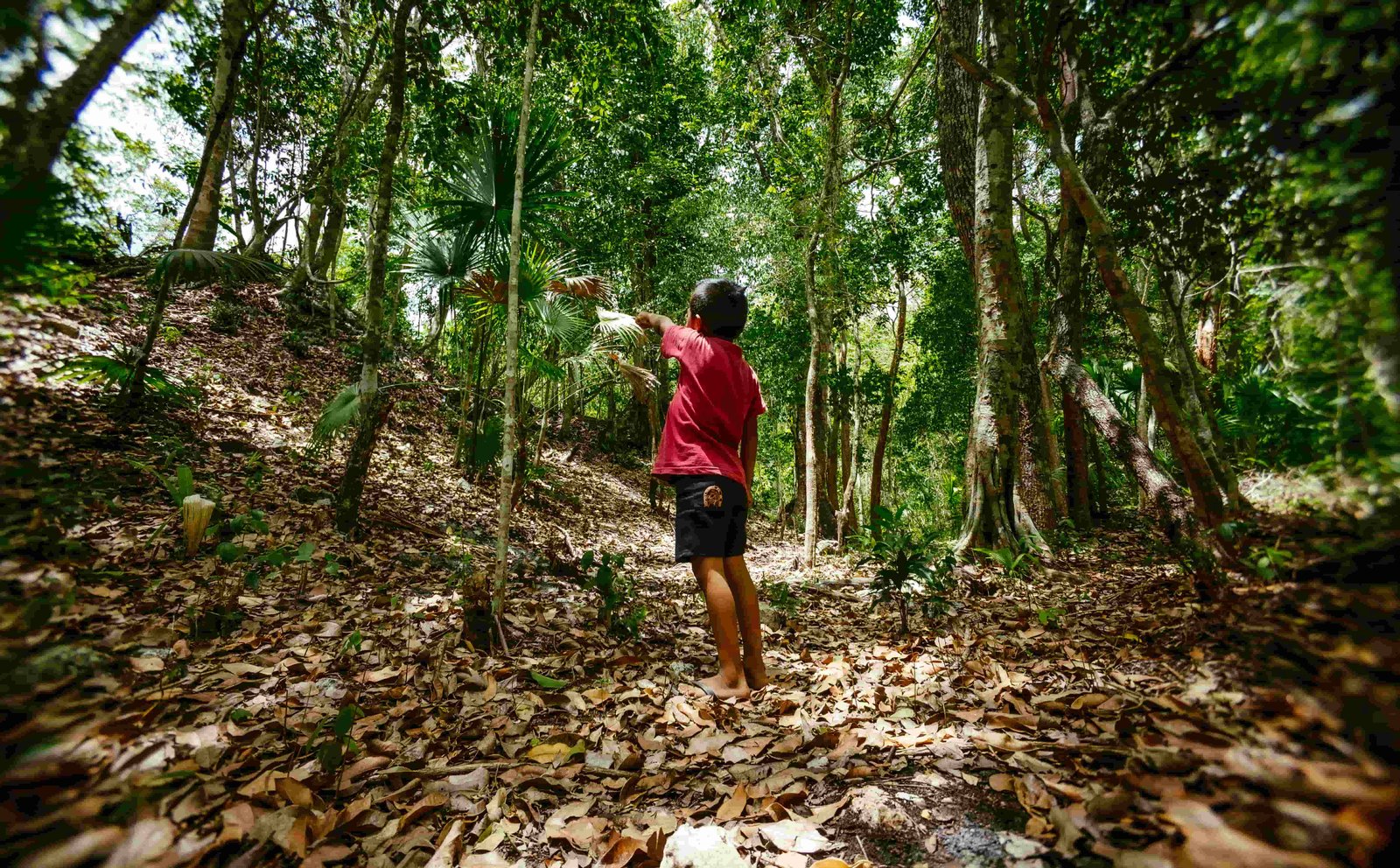 Niño maya explorando la selva, representando la conexión con la naturaleza de Osh